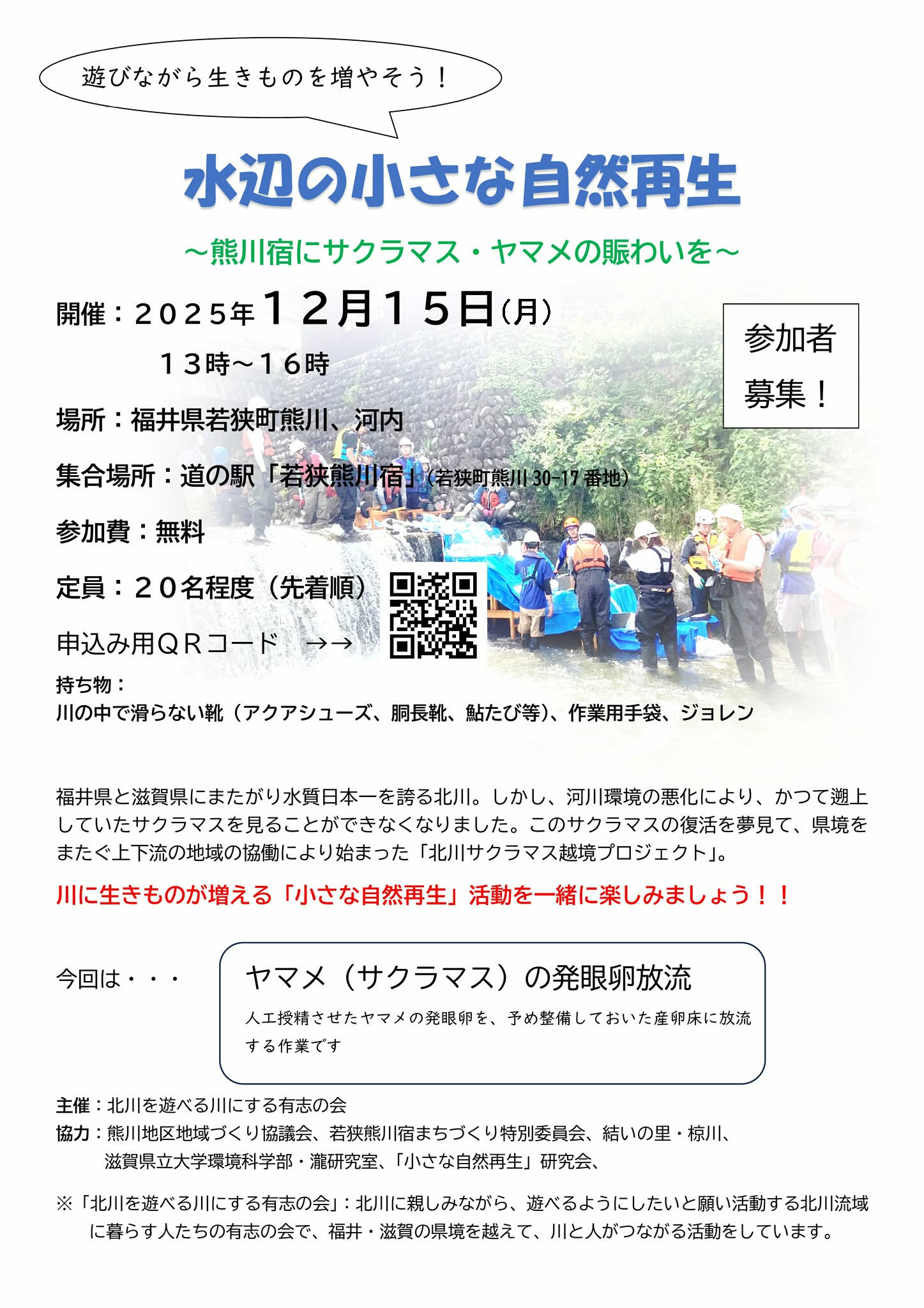 12月15日　水辺の小さな自然再生